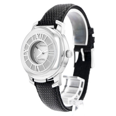 Tiffany & Co Atlas Demi Hunter