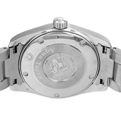 Omega Seamaster Aqua Terra