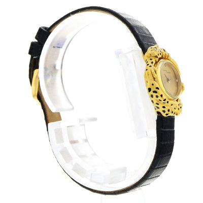 Carrera y Carrera Leopard