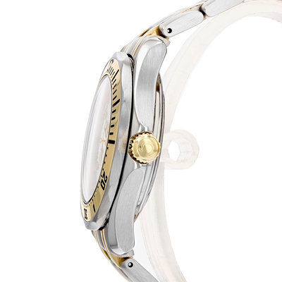 Omega Seamaster