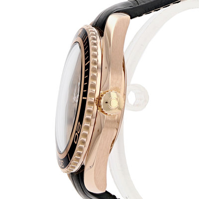 Omega Seamaster Planet Ocean