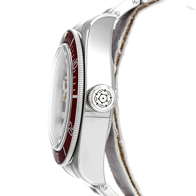Tudor Black Bay