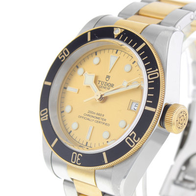 Tudor Black Bay