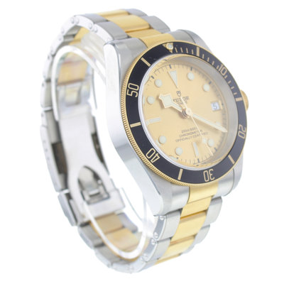 Tudor Black Bay