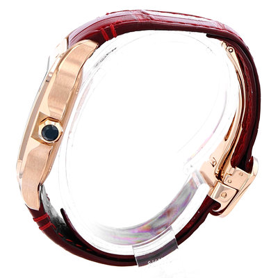 Cartier Santos WGSA0012 White Dial 35
