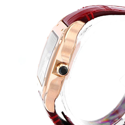 Cartier Santos