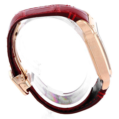 Cartier Santos