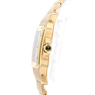 Cartier Santos