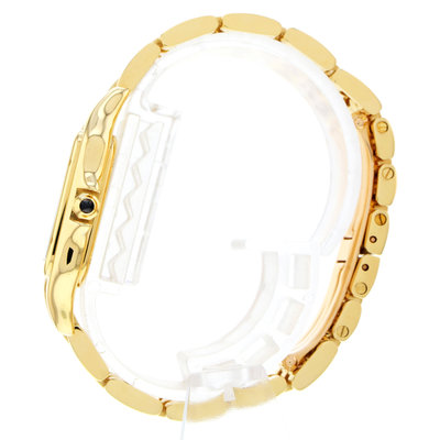 Cartier Panthère