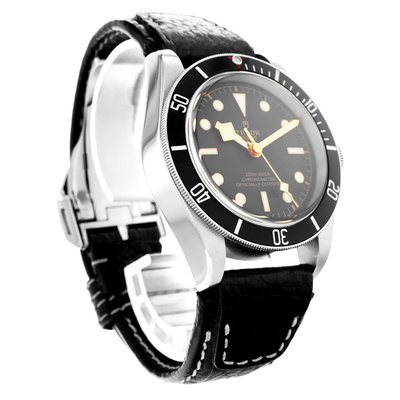 Tudor Black Bay