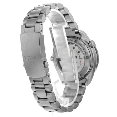 Omega Seamaster Planet Ocean