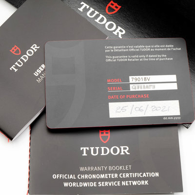 Tudor Black Bay