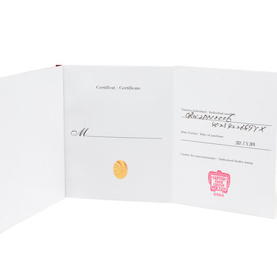 Cartier Panthere W2PN0006 4023  Silver Dial 22