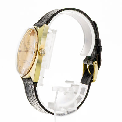 Omega Seamaster Cosmic