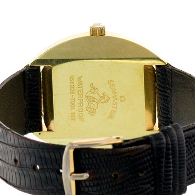Omega Seamaster Cosmic