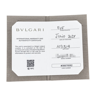 Bulgari Serpenti 101910 Silver Dial 35