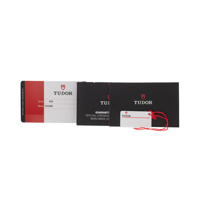 Tudor Black Bay