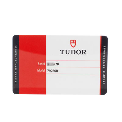 Tudor Black Bay