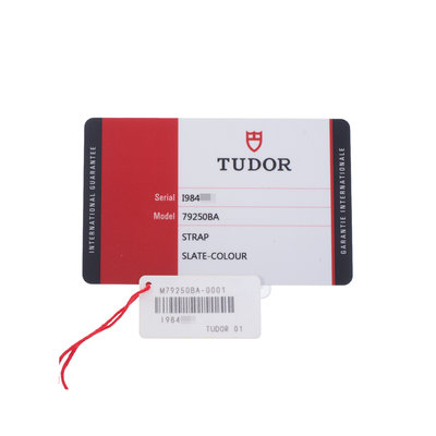 Tudor Black Bay Bronze 79250BA Black Dial 43