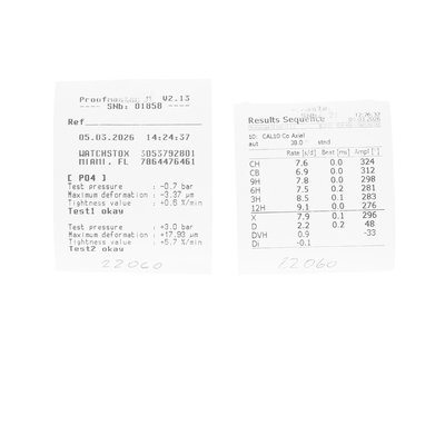 Omega Seamaster Planet Ocean