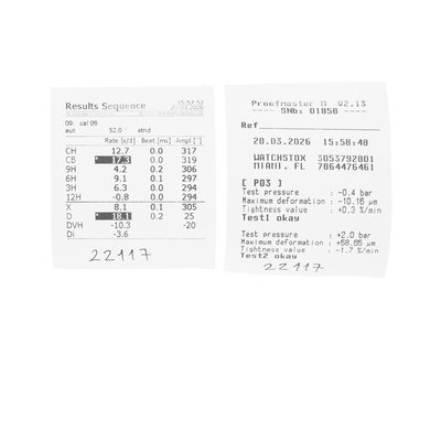 Franck Muller Casablanca Cintree Curvex