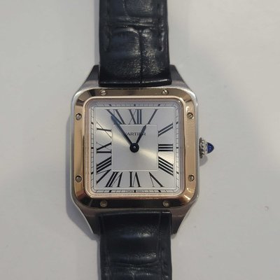 Cartier Dumont W2SA0012 NA Dial NA