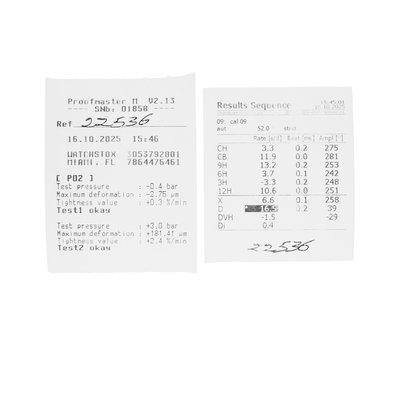 Audemars Piguet Royal Oak Offshore Chronograph