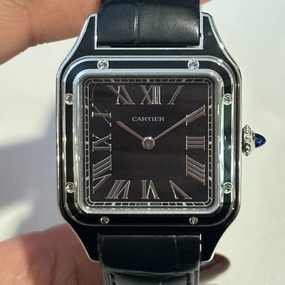 Cartier Santos Dumont WSSA0046 4298 NA Dial 31x47