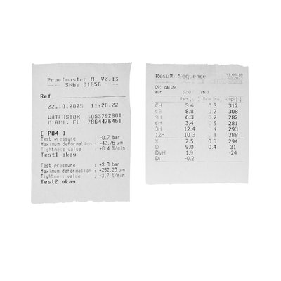 Omega Seamaster Professional