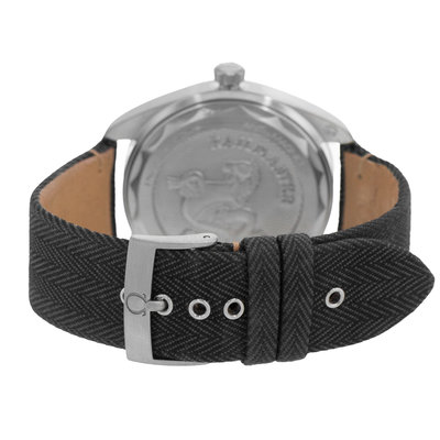 Omega Seamaster Railmaster