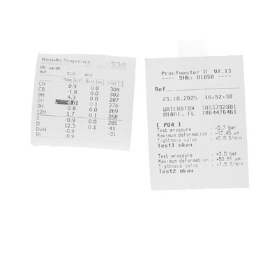 Parmigiani Fleurier Toric