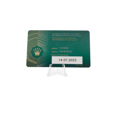 Rolex Oyster Perpetual 41 124300 Silver Dial 41