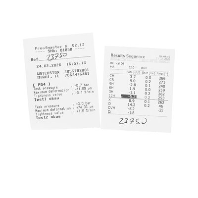 Audemars Piguet Edward Piguet