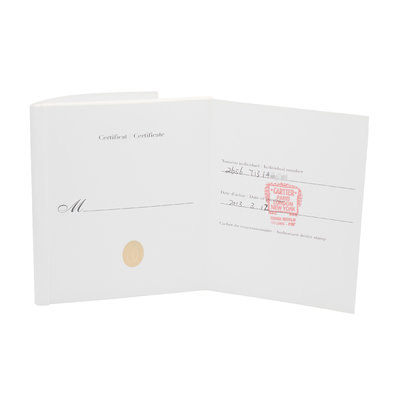 Cartier Santos 100 W20073X8 2656 Silver Dial 41x51