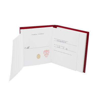 Cartier Tank Solo W5200005 3170 Silver Dial 24x30