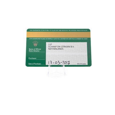 Rolex Datejust 41 126333 Grey Dial 41