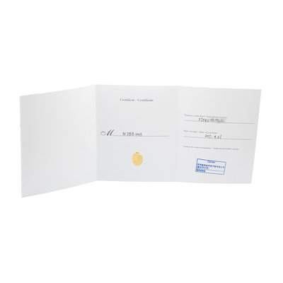 Cartier Ballon Bleu 36mm