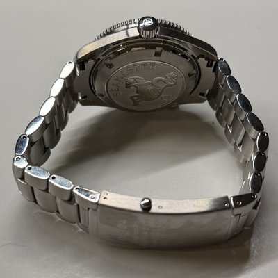 Omega Seamaster Planet Ocean