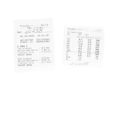 Omega Seamaster Planet Ocean