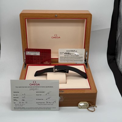 Omega Seamaster Diver