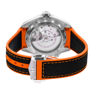 Omega Seamaster Planet Ocean