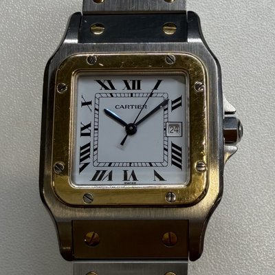 Cartier Santos 81036288 NA Dial 29