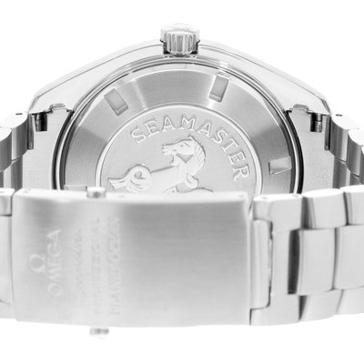 Omega Seamaster Planet Ocean