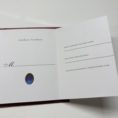 Cartier Santos 100