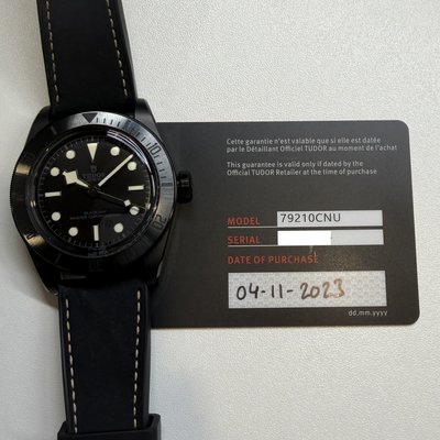Tudor Black Bay