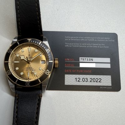 Tudor Black Bay