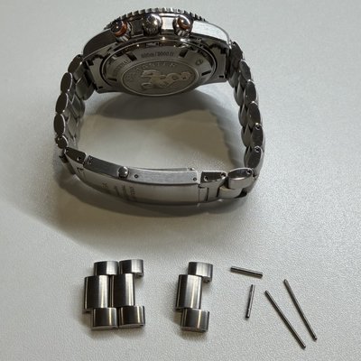 Omega Seamaster Planet Ocean