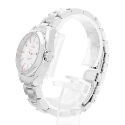 Omega Seamaster Aqua Terra