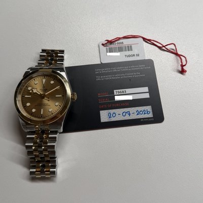 Tudor Black Bay