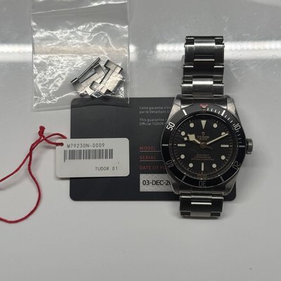 Tudor Black Bay